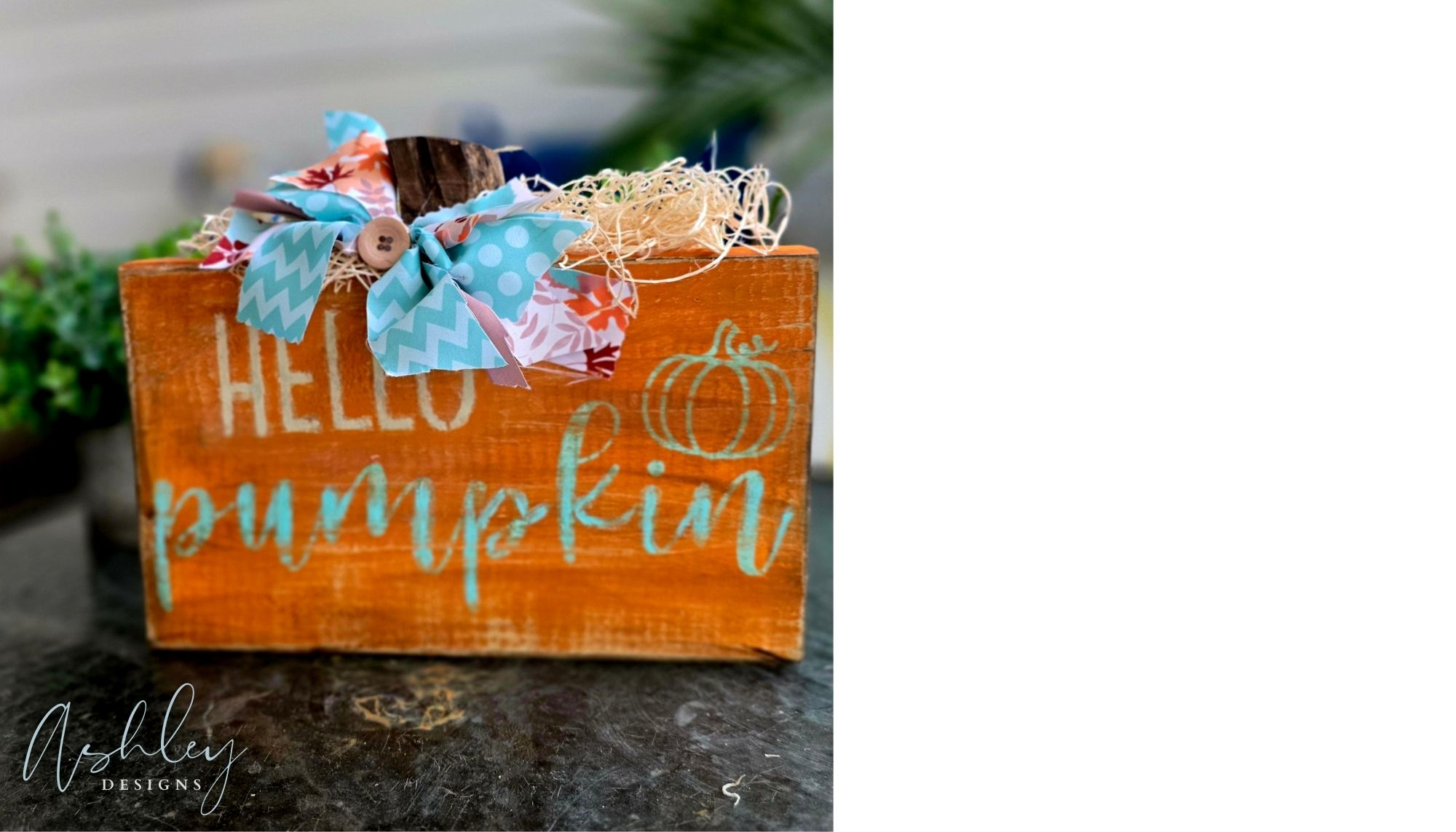 Hello Pumpkin! - Image 7