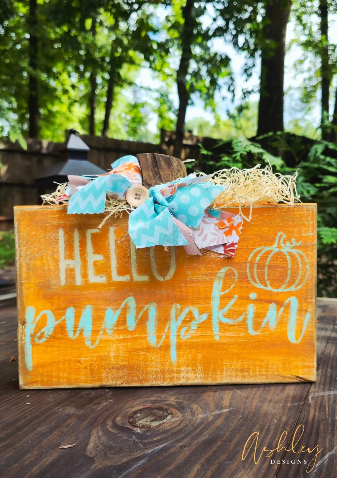 Hello Pumpkin! - Image 12