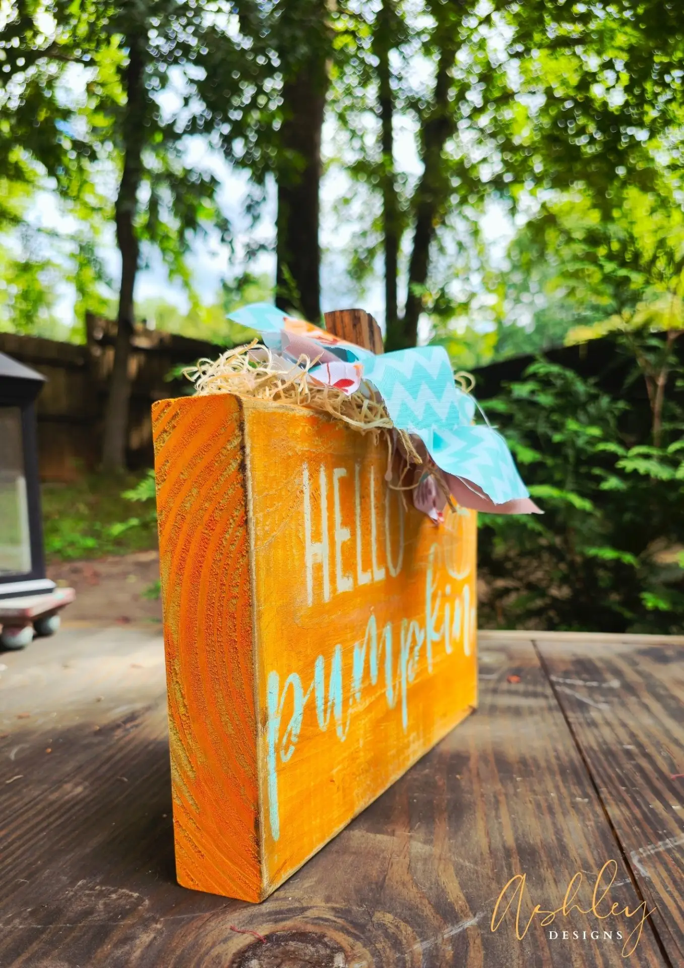 Hello Pumpkin! - Image 13