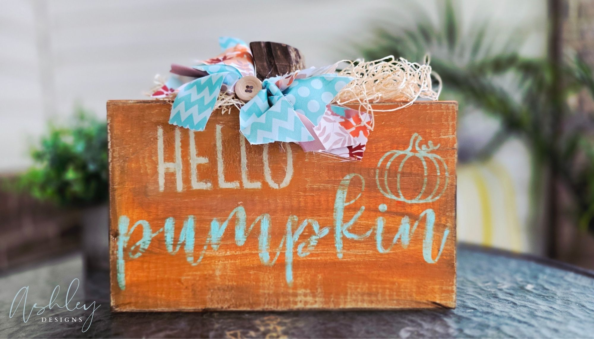 Hello Pumpkin! - Image 2