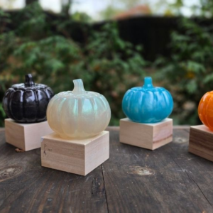 The Curated Pumpkin Collection