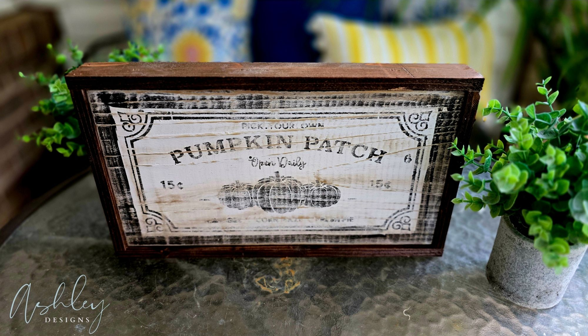 Pumpkin Patch - Image 14
