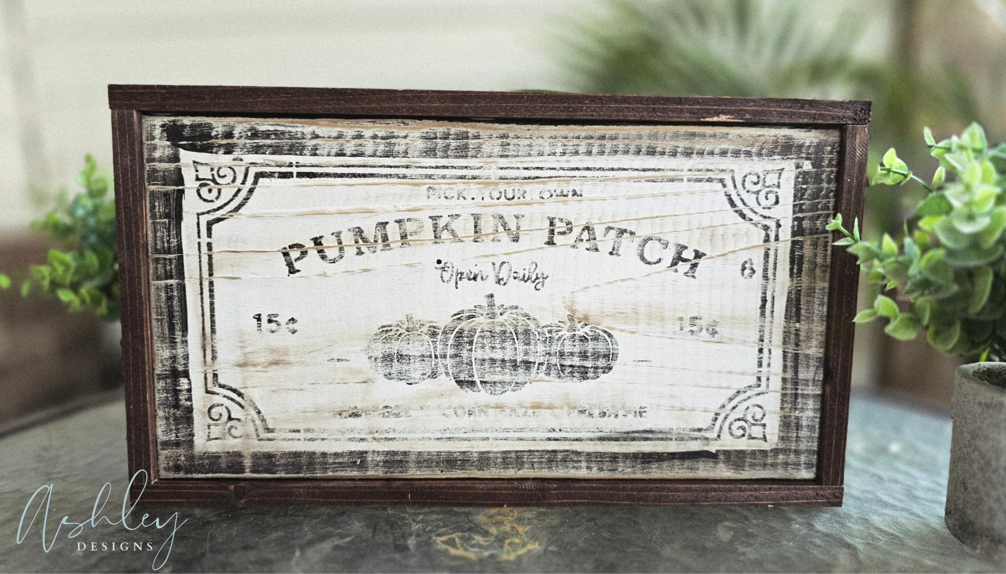 Pumpkin Patch - Image 15
