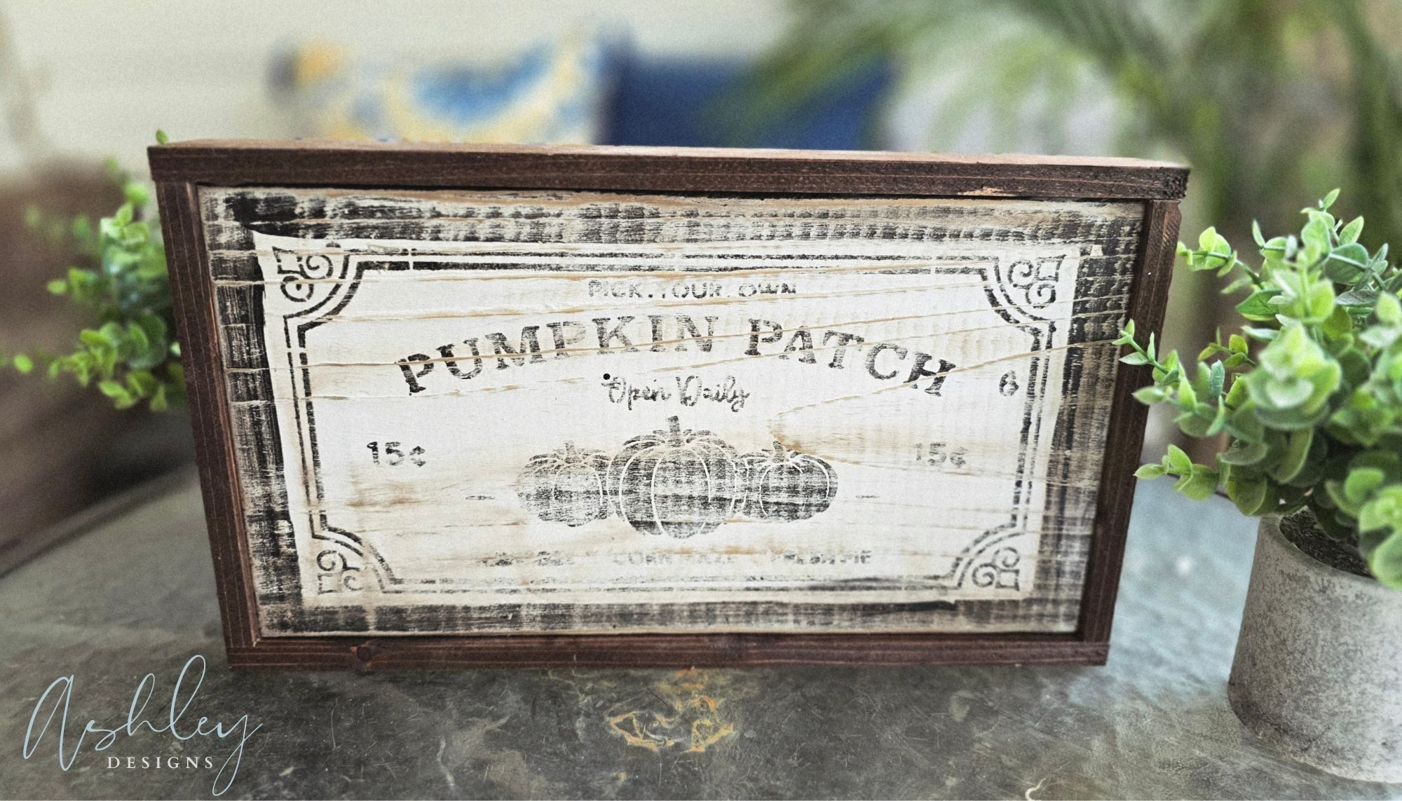 Pumpkin Patch - Image 8