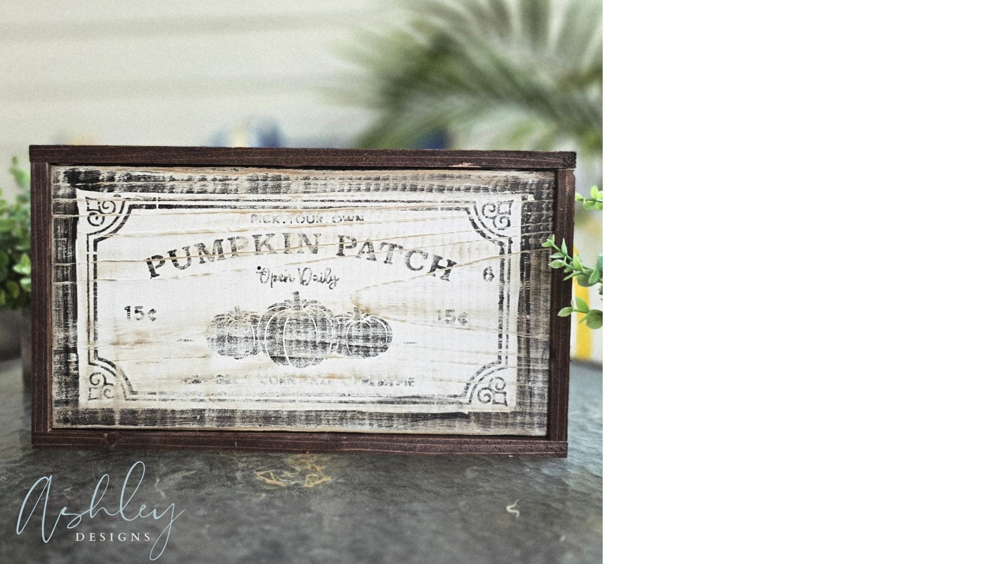 Pumpkin Patch - Image 10
