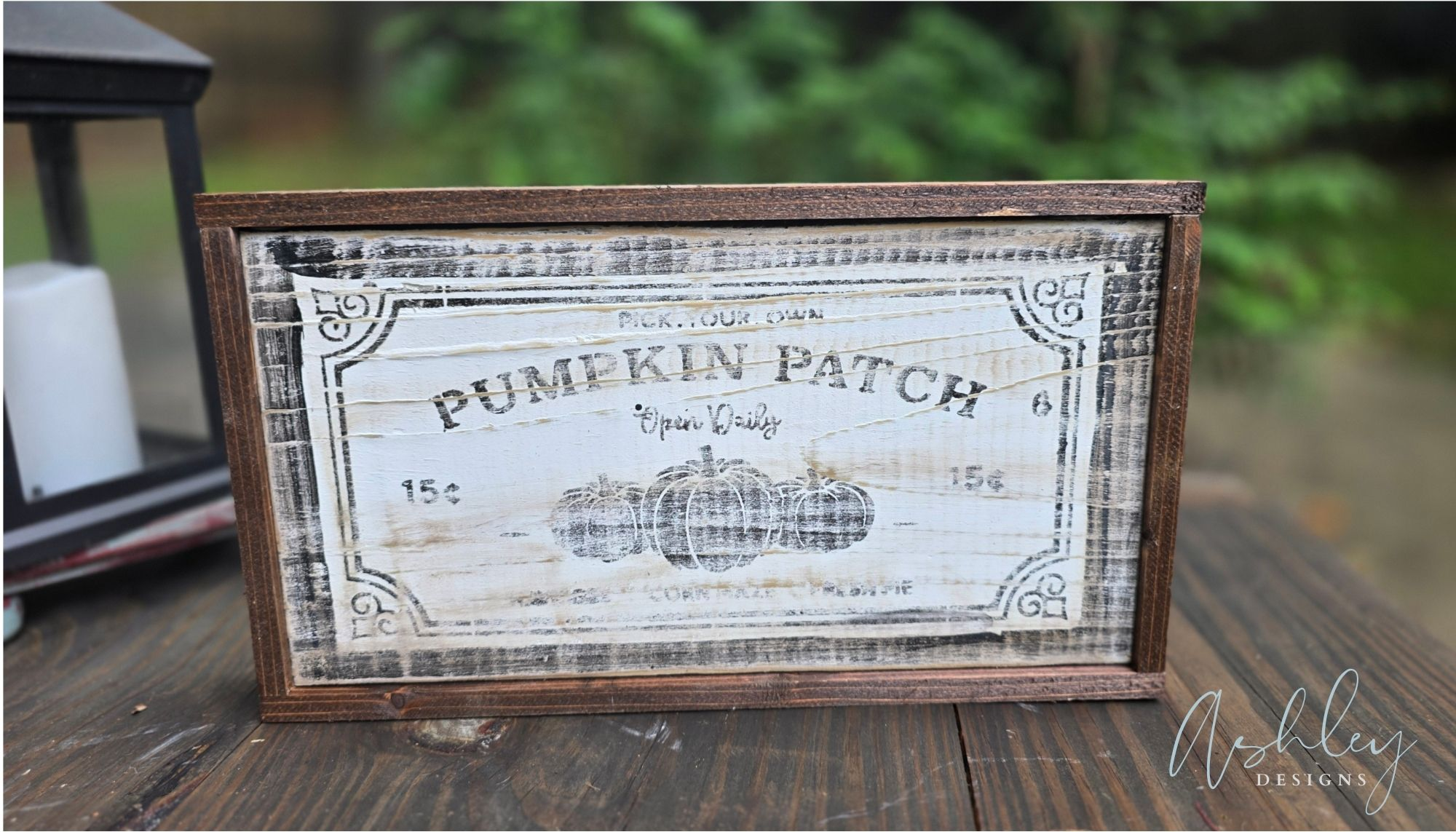 Pumpkin Patch - Image 12