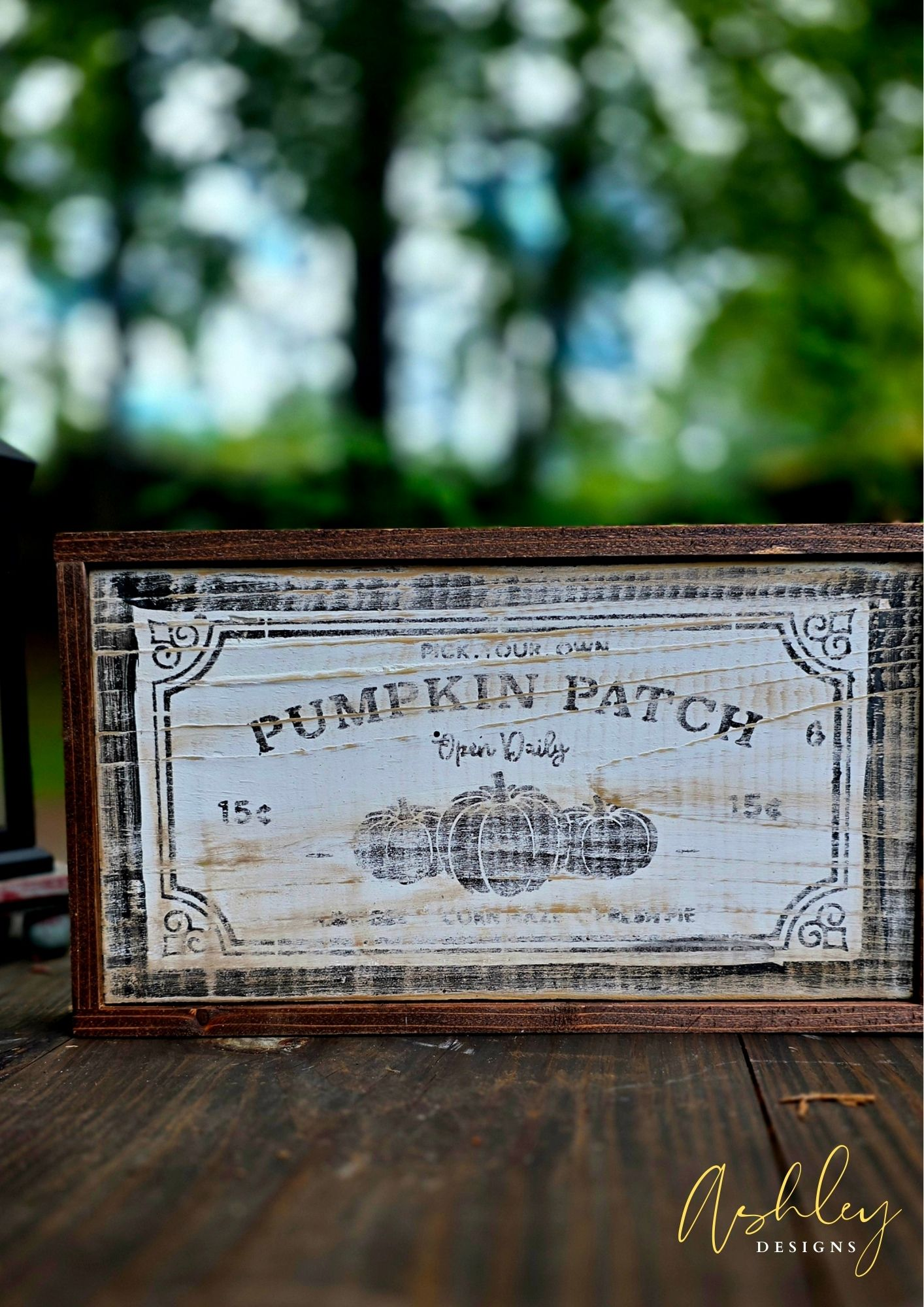 Pumpkin Patch - Image 6
