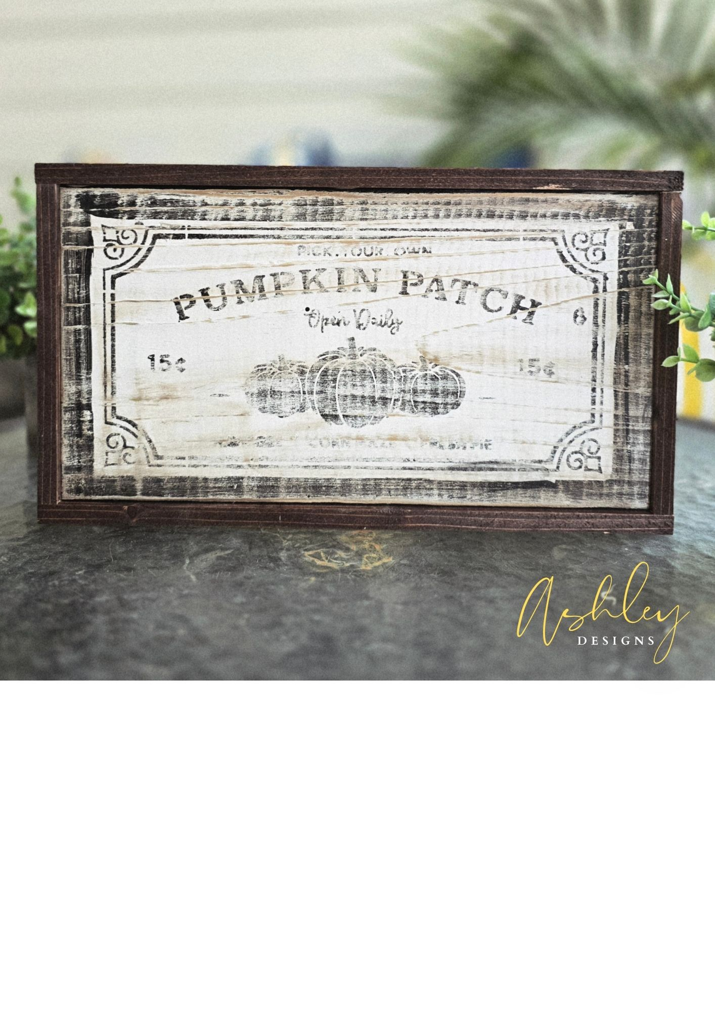 Pumpkin Patch - Image 3