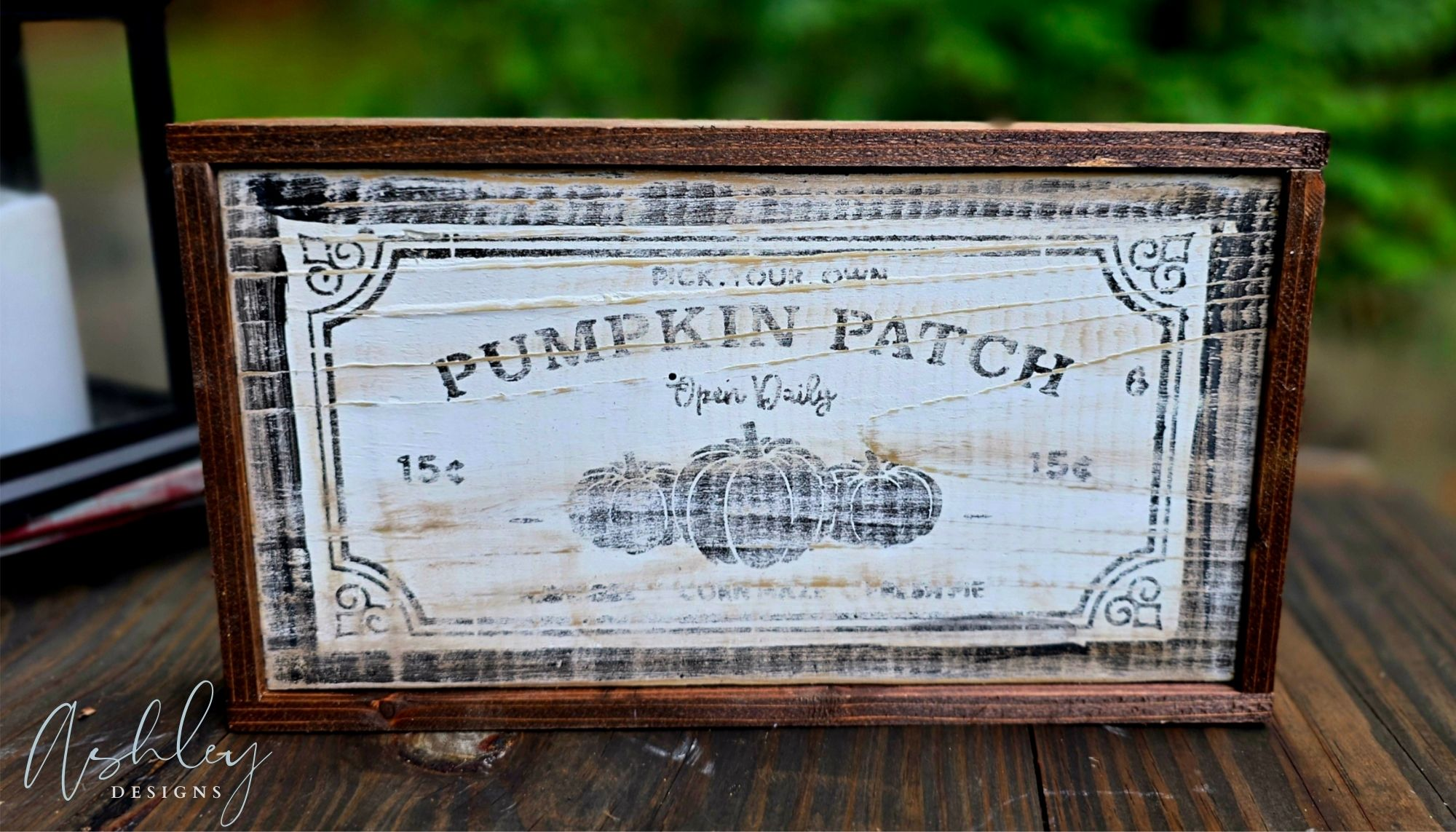 Pumpkin Patch - Image 2