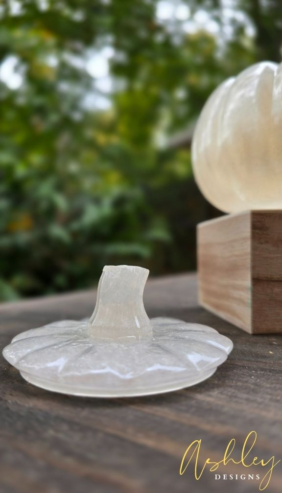 The Curated Pumpkin Collection - Image 38