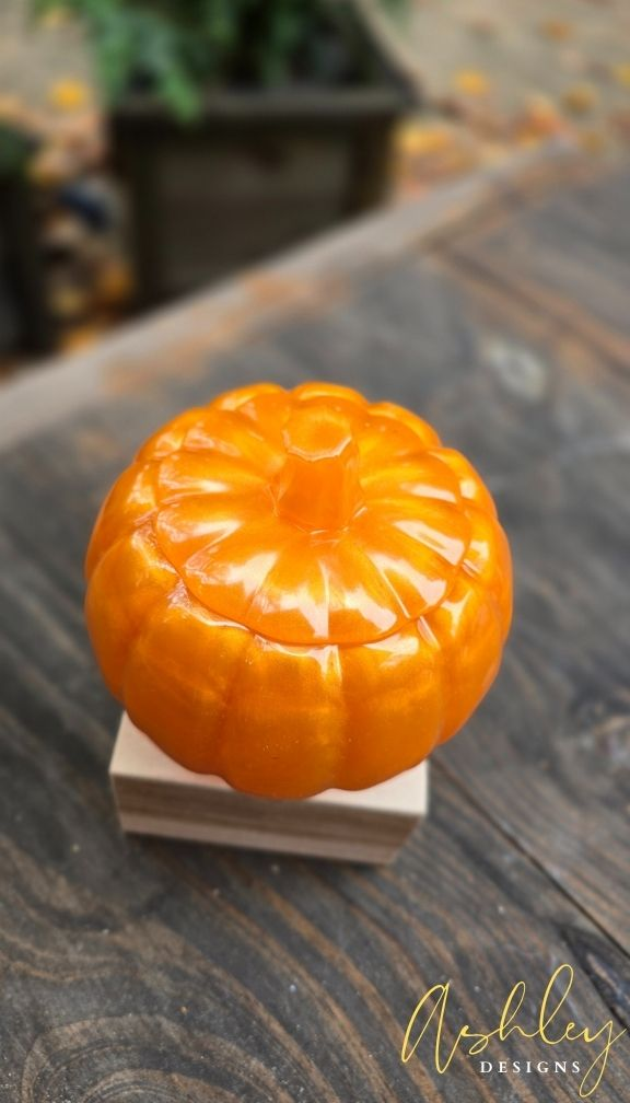 The Curated Pumpkin Collection - Image 6