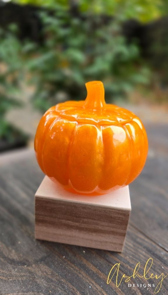 The Curated Pumpkin Collection - Image 34