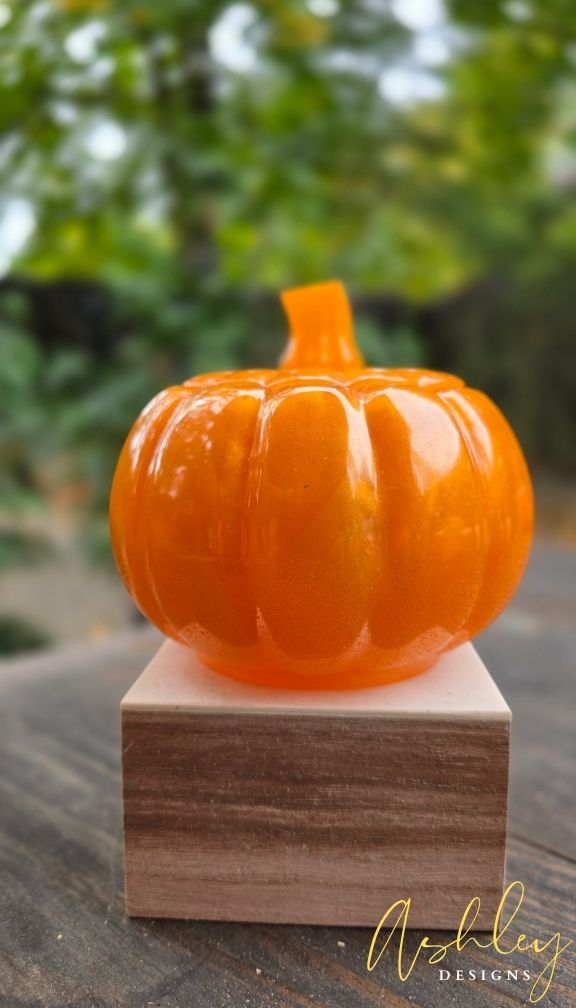 The Curated Pumpkin Collection - Image 10