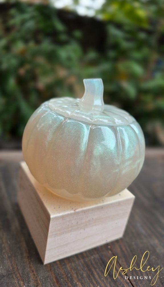 The Curated Pumpkin Collection - Image 30
