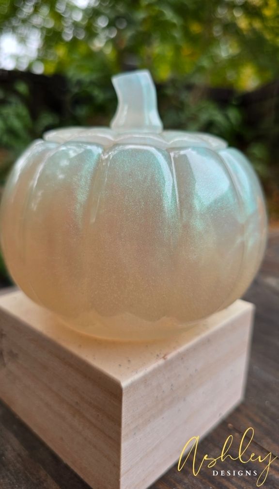 The Curated Pumpkin Collection - Image 29